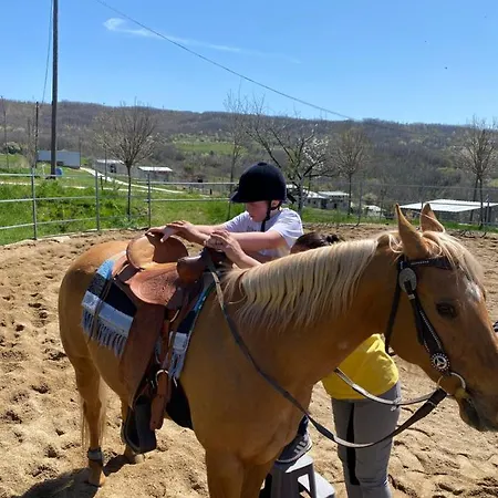 Zoo Misic Prenociste *