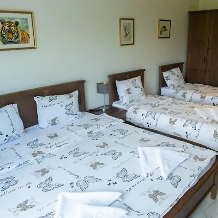 Hotel Zoo Misic Prenociste *