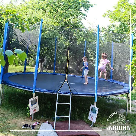 Zoo Misic Prenociste *