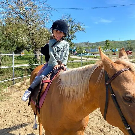 Hotel Zoo Misic Prenociste