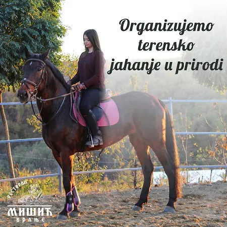 Zoo Misic Prenociste Hotel Vranje