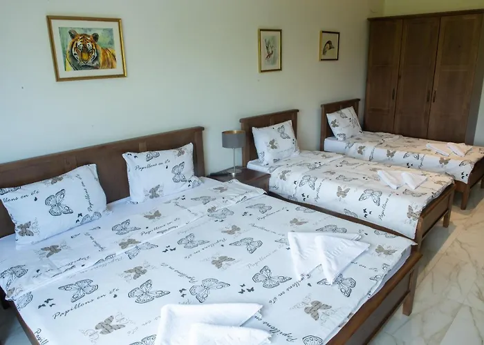 Hotel Zoo Misic Prenociste *