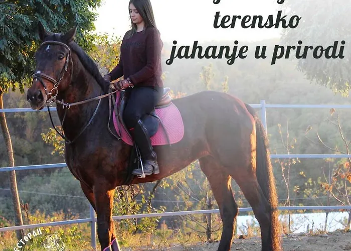 Zoo Misic Prenociste Hotel Vranje